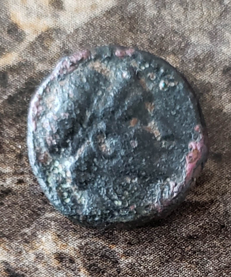 Two-Greek-Coins-With-Horses-For-ID